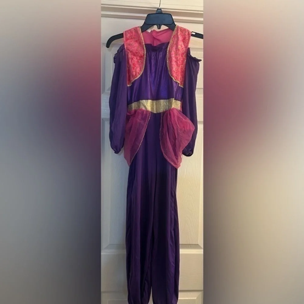 Jasmin Purple and Pink Costume Dress